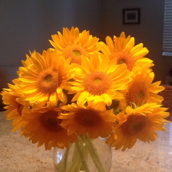 Meet your Posher, Tee - Picture 2 of 2